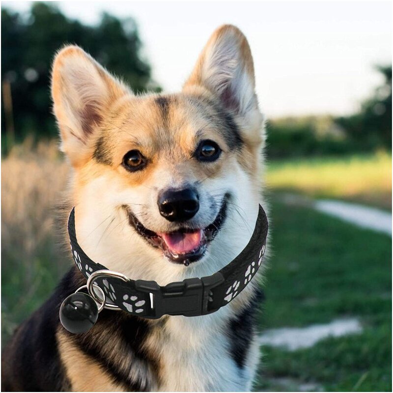Dog Print Pet Bell Collar - Black
