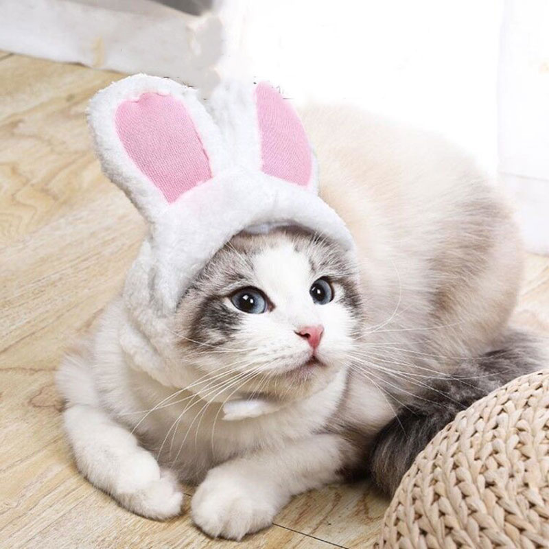 Cute Pet Rabbit Ear Hat