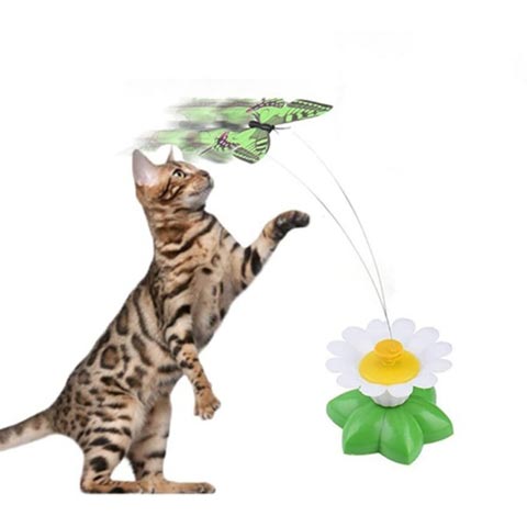 Electric Winding Butterflies Funny Cat Toy (20206)