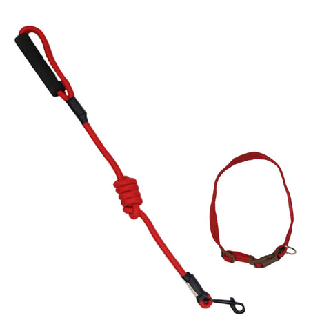 eva-pet-leash-with-adjustable-collar-belt-large_regular_60811004a16da.jpg