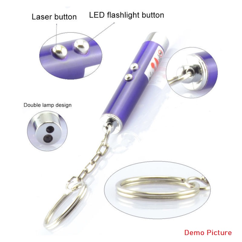 Funny 2 In 1 Super Bright LED Pet Laser Pointer With Key Ring - Black (20204)
