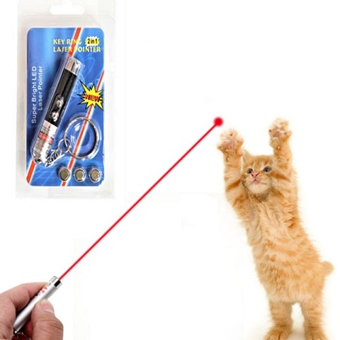Funny 2 In 1 Super Bright LED Pet Laser Pointer With Key Ring - Black (20204)