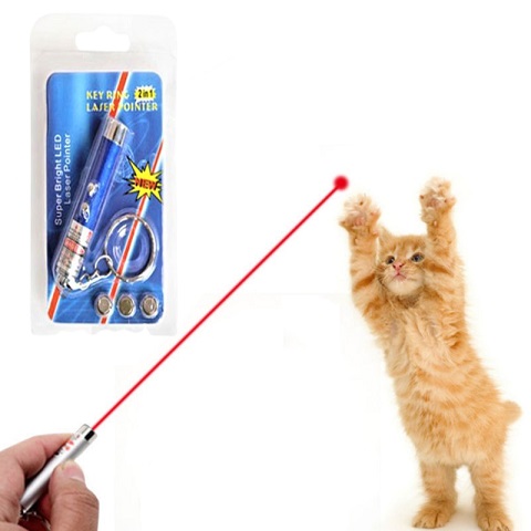 Funny 2 In 1 Super Bright LED Pet Laser Pointer With Key Ring - Blue