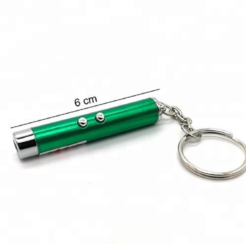 Funny 2 In 1 Super Bright LED Pet Laser Pointer With Key Ring - Green