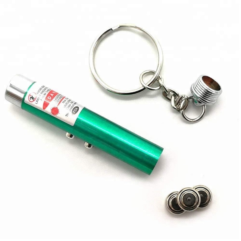 Funny 2 In 1 Super Bright LED Pet Laser Pointer With Key Ring - Green