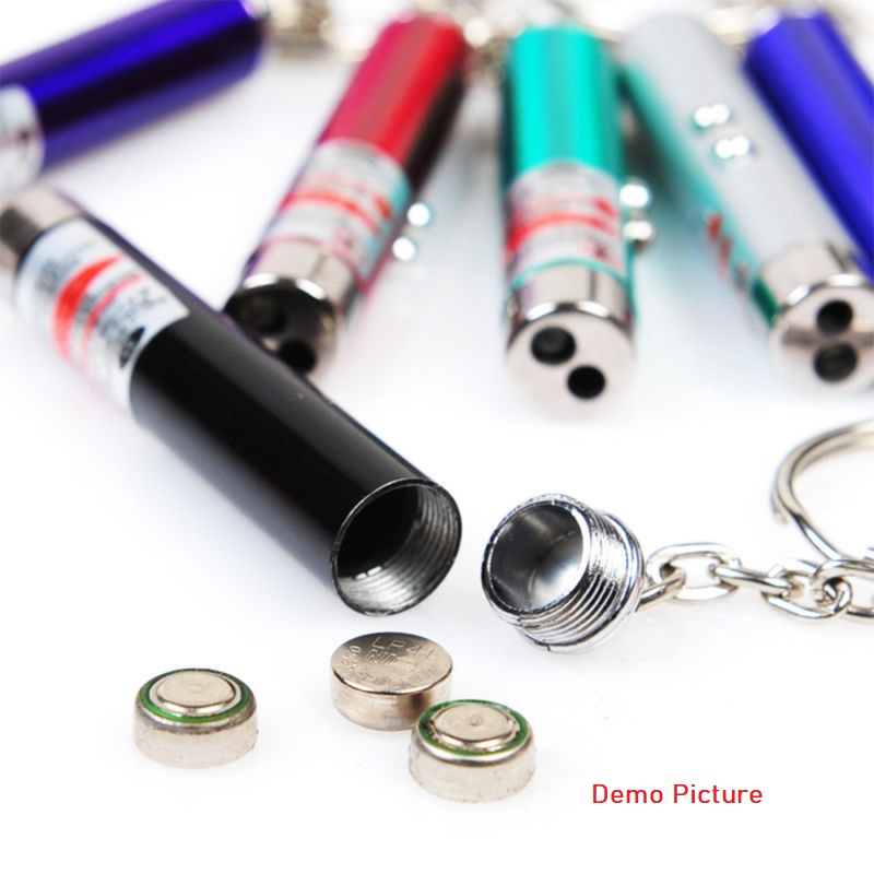 Funny 2 In 1 Super Bright LED Pet Laser Pointer With Key Ring - Silver