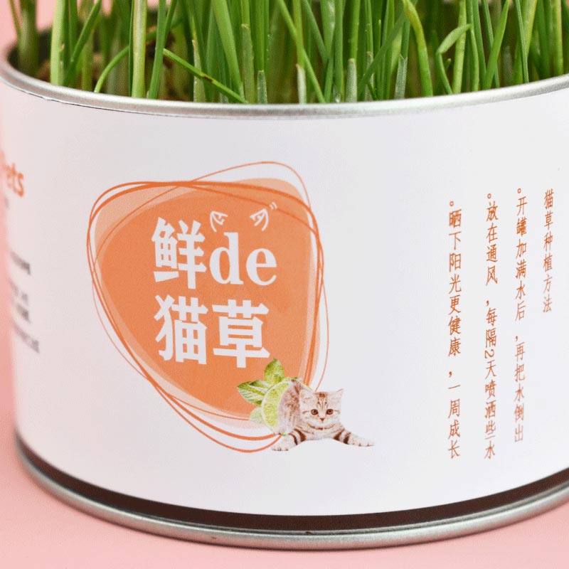 GrePets Lazy Canned Cat Grass (20203)