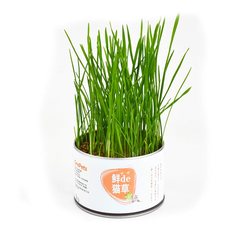 GrePets Lazy Canned Cat Grass (20203)