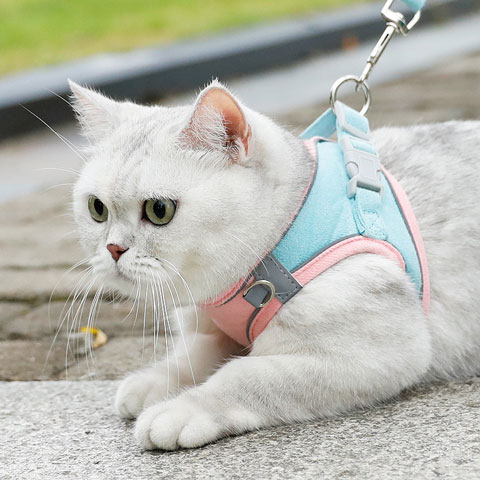 Meow Xinbao Reflective Cat Traction Rope - Small