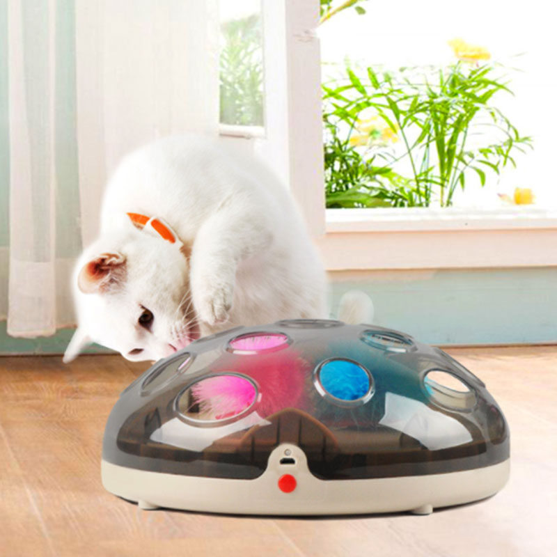 New Crazy Magnetic Turntable Levitation Technology Funny Cat Toy (301207)