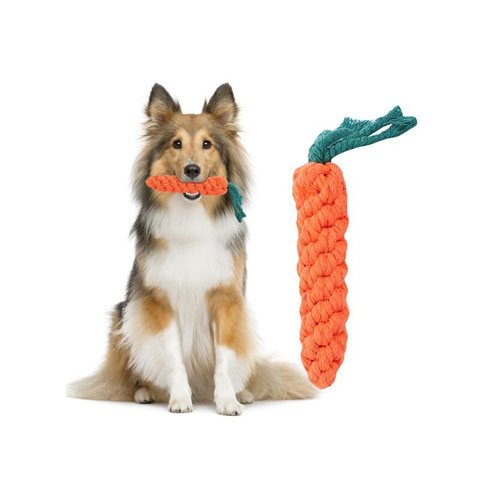 Pet Carrot Cotton Rope Toy - (301203)