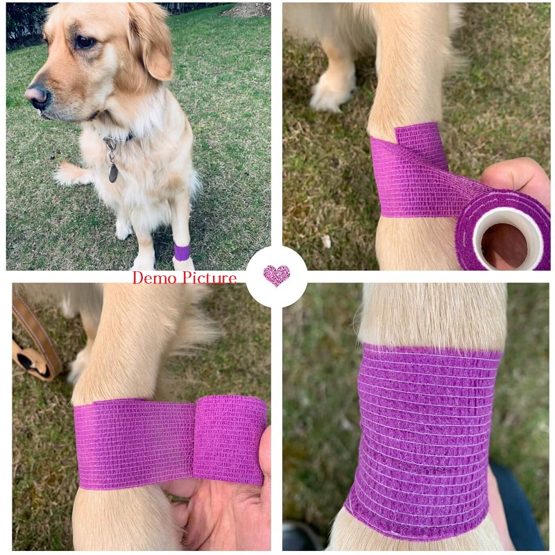 Self Adhesive Elastic Waterproof Roll Bandage For Dogs and Cats - Purple
