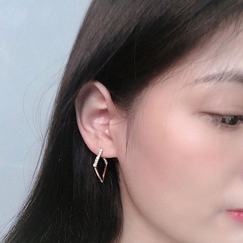 Simple Exquisite Small Wild Earrings (301004)
