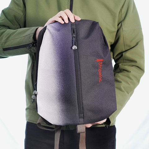 Stripelnc Mini Travel Backpack - Black & Ash (11011)